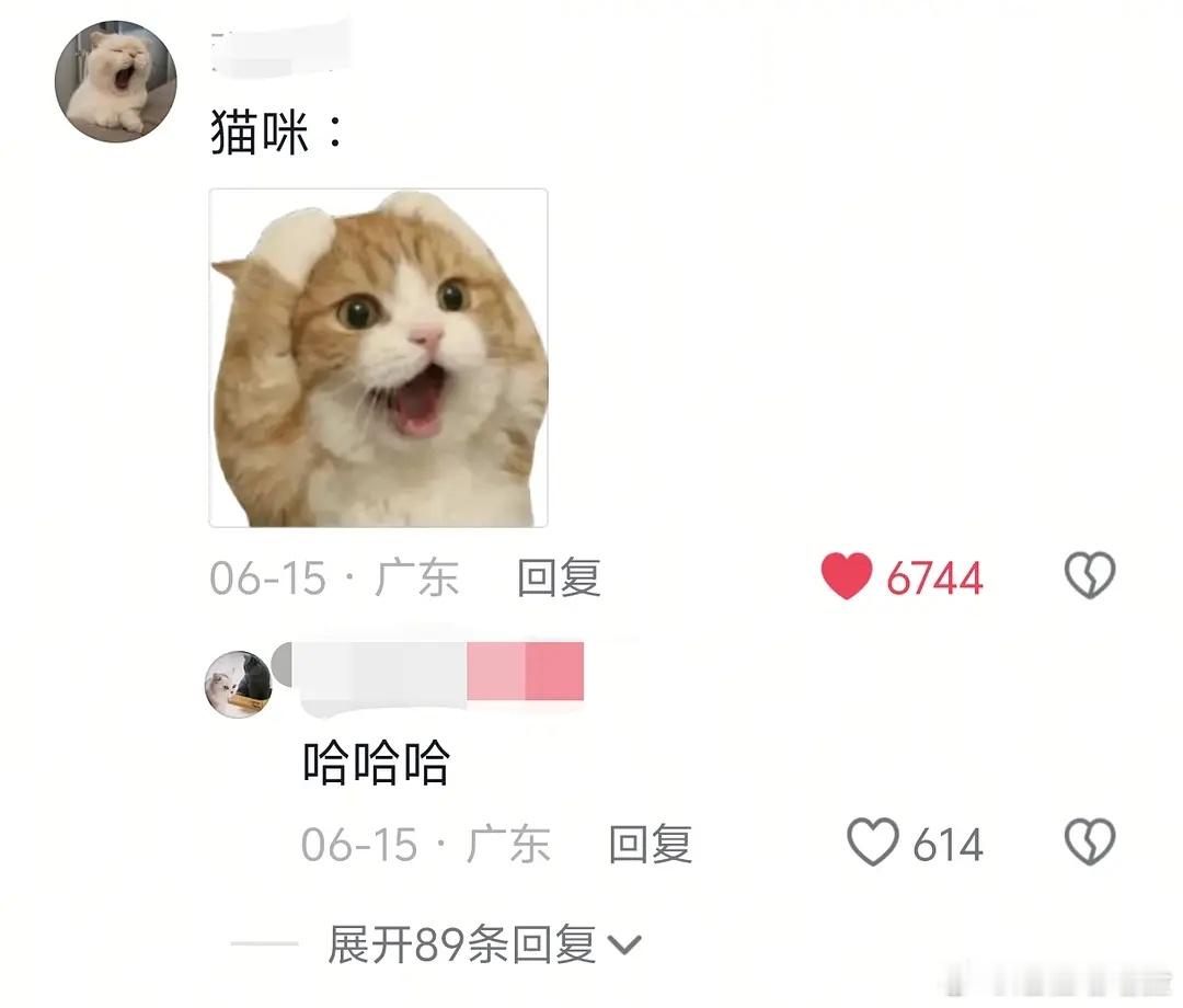 小猫治水 