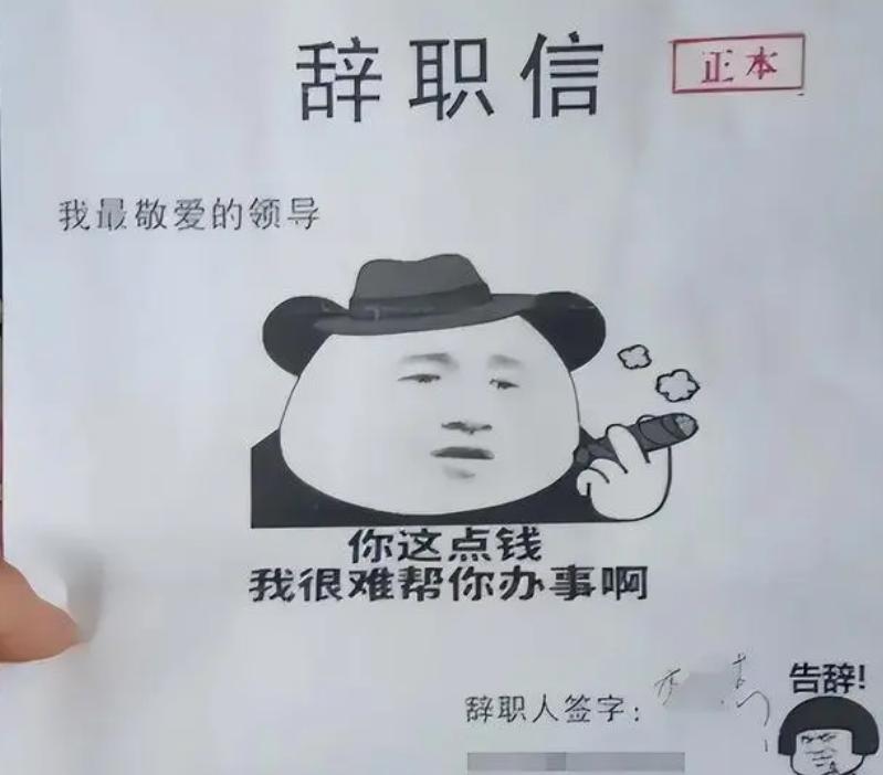 终于有老板能接住00后的辞职信了！

近年来，一些00后的大学毕业生在职场中表现