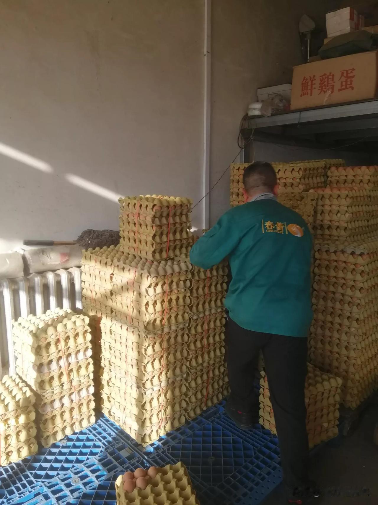 今天见了个新玩意儿！原来这样成盘的鸡蛋也有专业的包扎机，包一下几秒钟的时间，比市