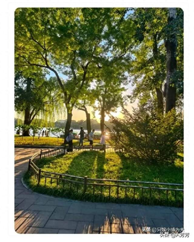 28岁小伙家中离世！父母就在客厅，全程毫无察觉