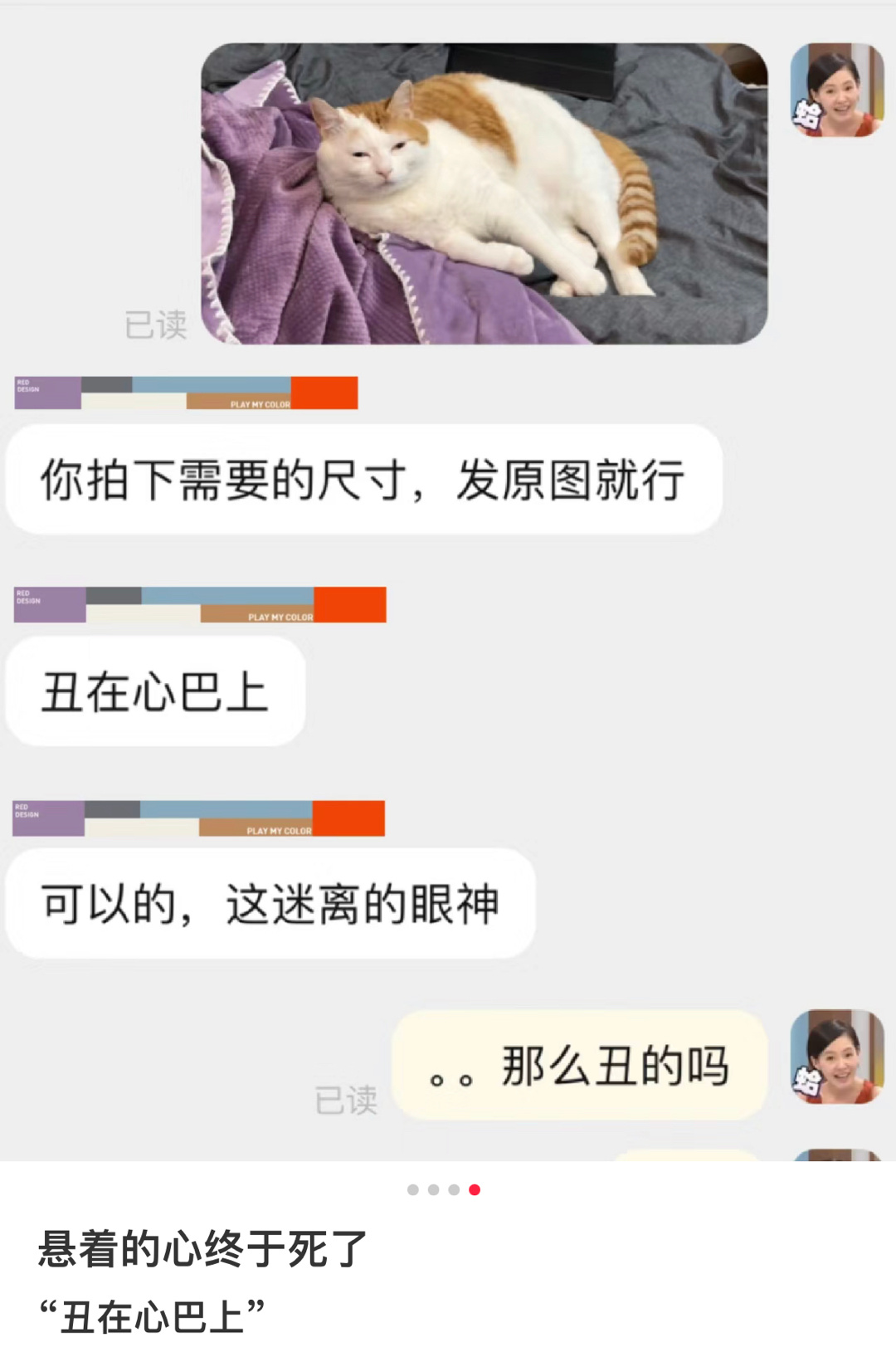 什么时候能看到丑猫抱枕不笑啊啊啊啊啊… ​​​