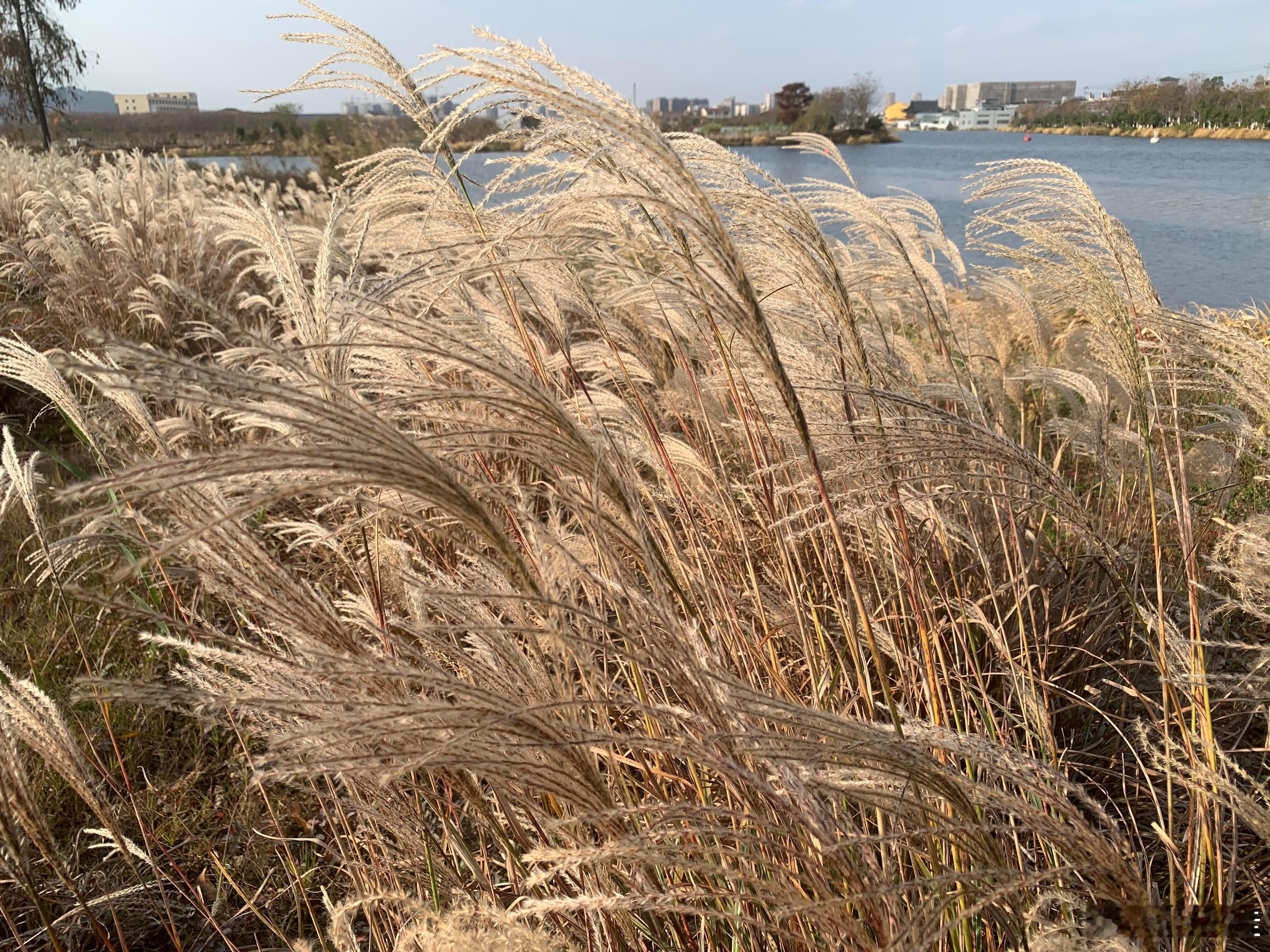 自由的第一步：是从“被认可”的枷锁中挣脱出来当你不再为他人的目光而活，世界才会真