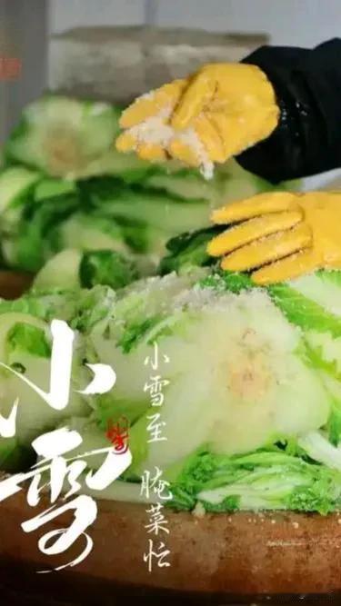 小雪至，天地始寒。老巷深处，青瓦檐角垂下冰锥，而厨房内却蒸腾着人间最暖的烟火气—