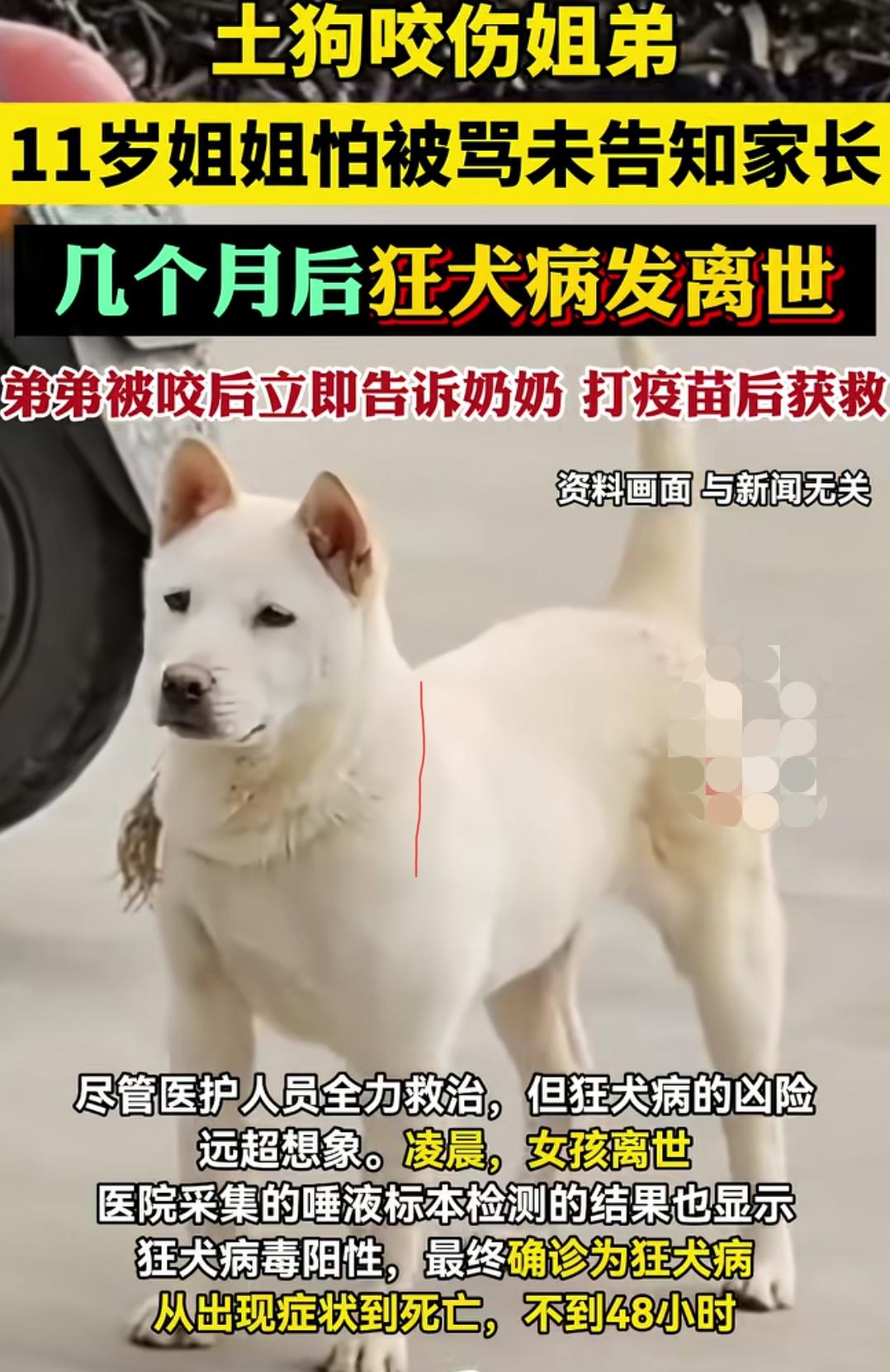 只因一句不敢说，11岁女孩永远的离开了。
姐弟俩被土狗咬伤了，弟弟告诉了奶奶，打