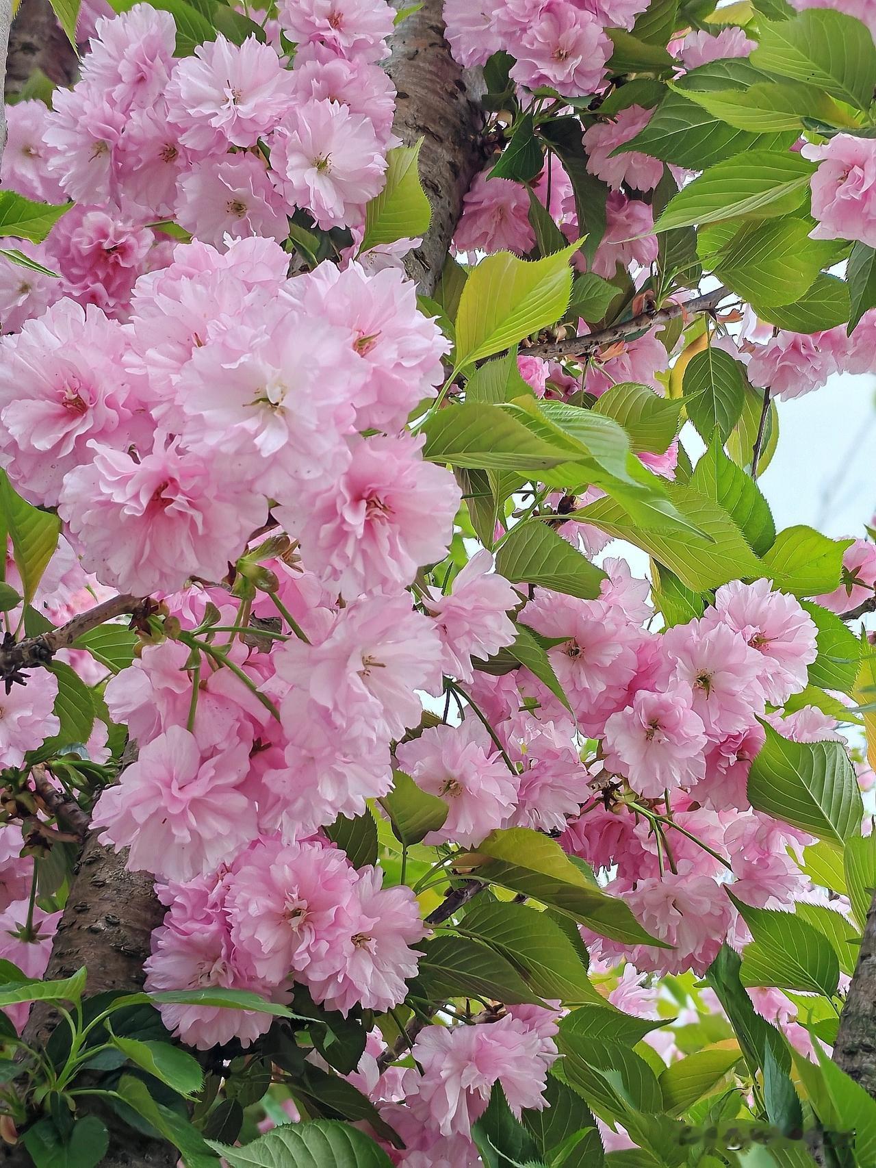 一个人活到50岁，
都还不能认清这件事，
那你这辈子注定是活不明白了！
那就是：