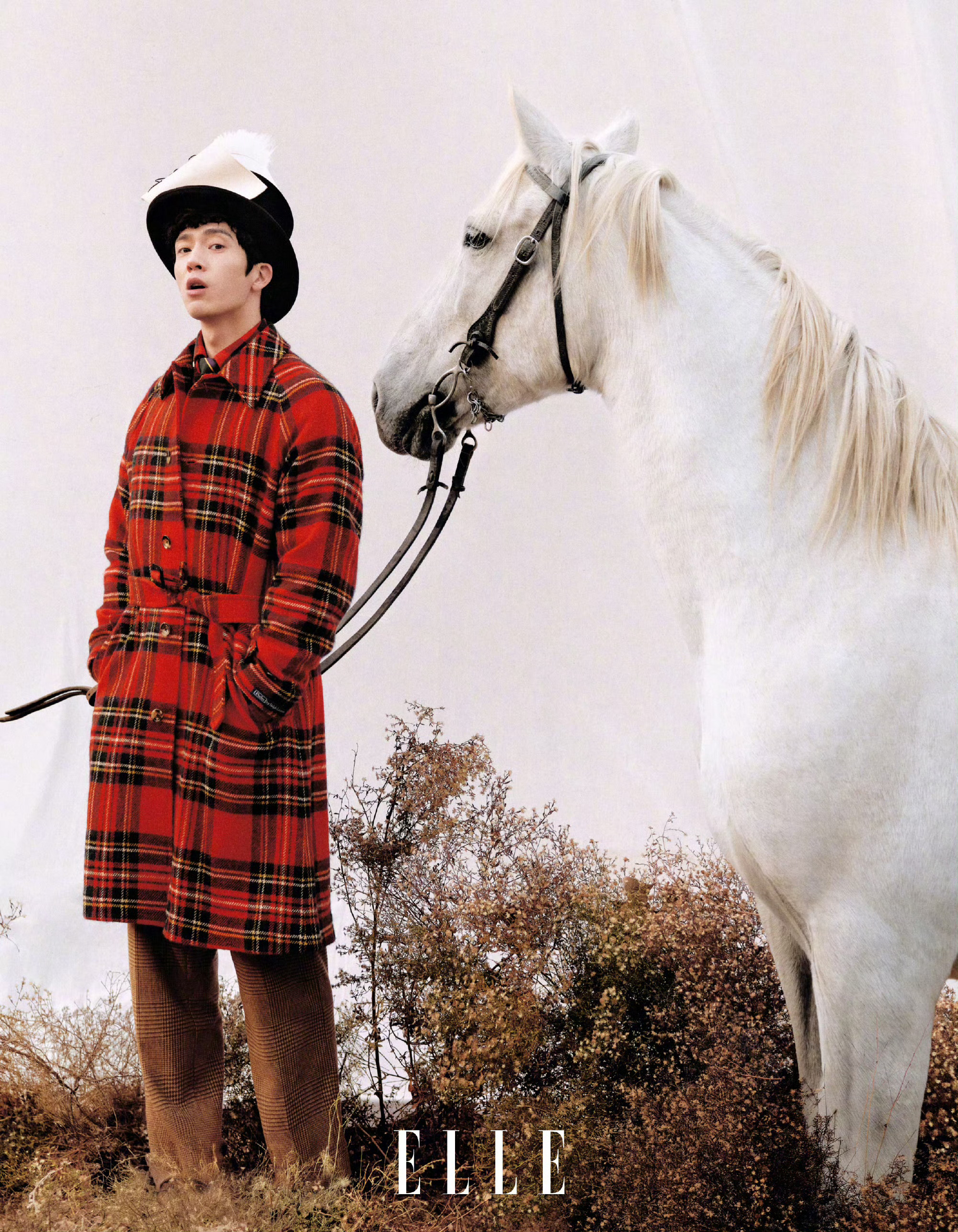 井柏然 ELLE 二月刊封面人物，新春“以梦为马”迎来四登，稳定发挥的硬照表现力