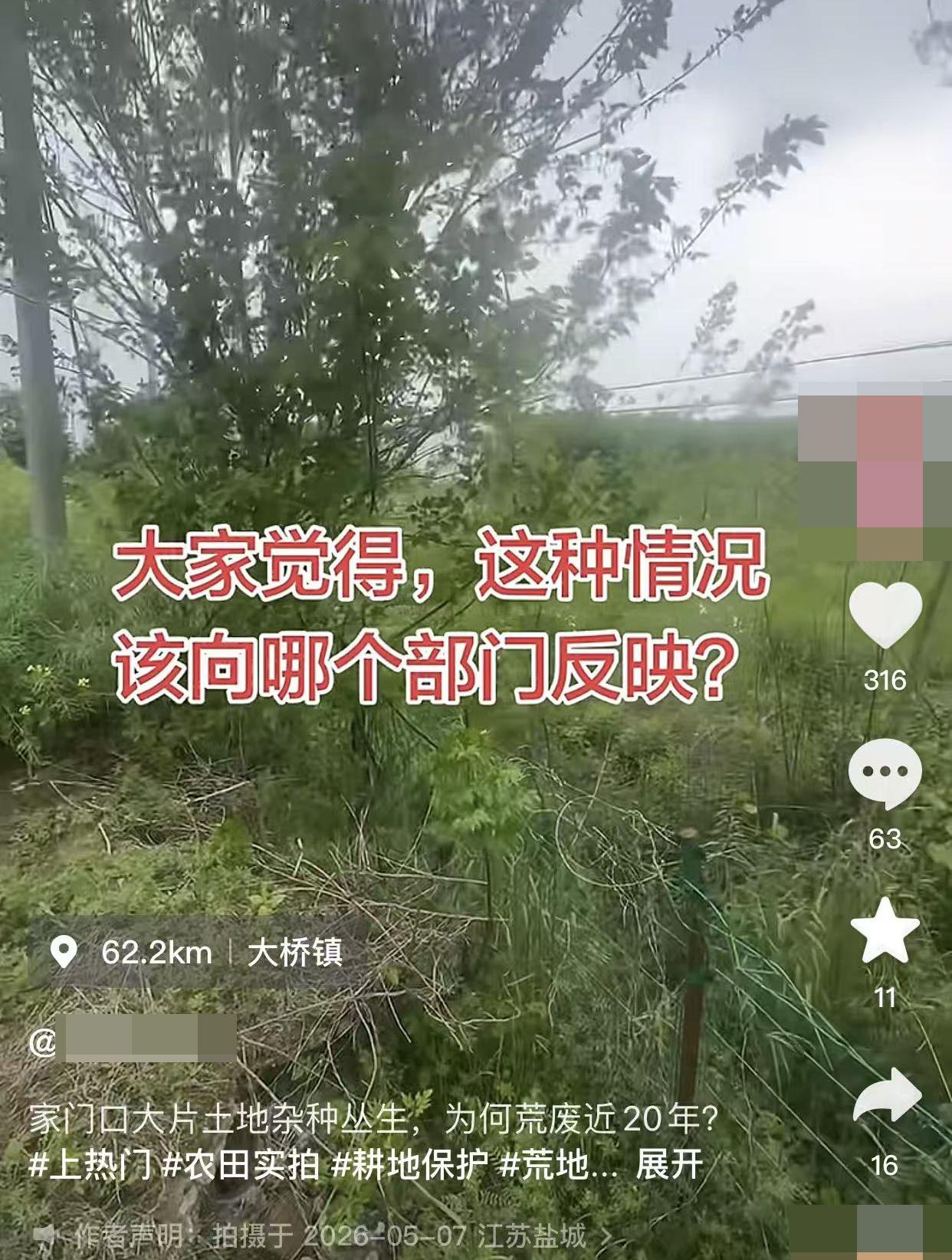 市民吐槽：大丰区大桥镇，有一大片土地杂草丛生，荒废近二十年，好好的田沦为荒坡荒地