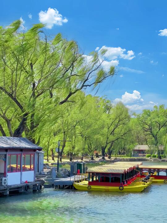 蕞全地图｜圆明园高效打卡攻略+清北名校联动