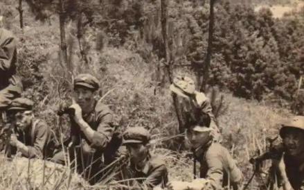 1942年，湘西巨匪张云卿冲进朴云庵，将正在扫地的13岁小尼姑一把提起，重重地摔