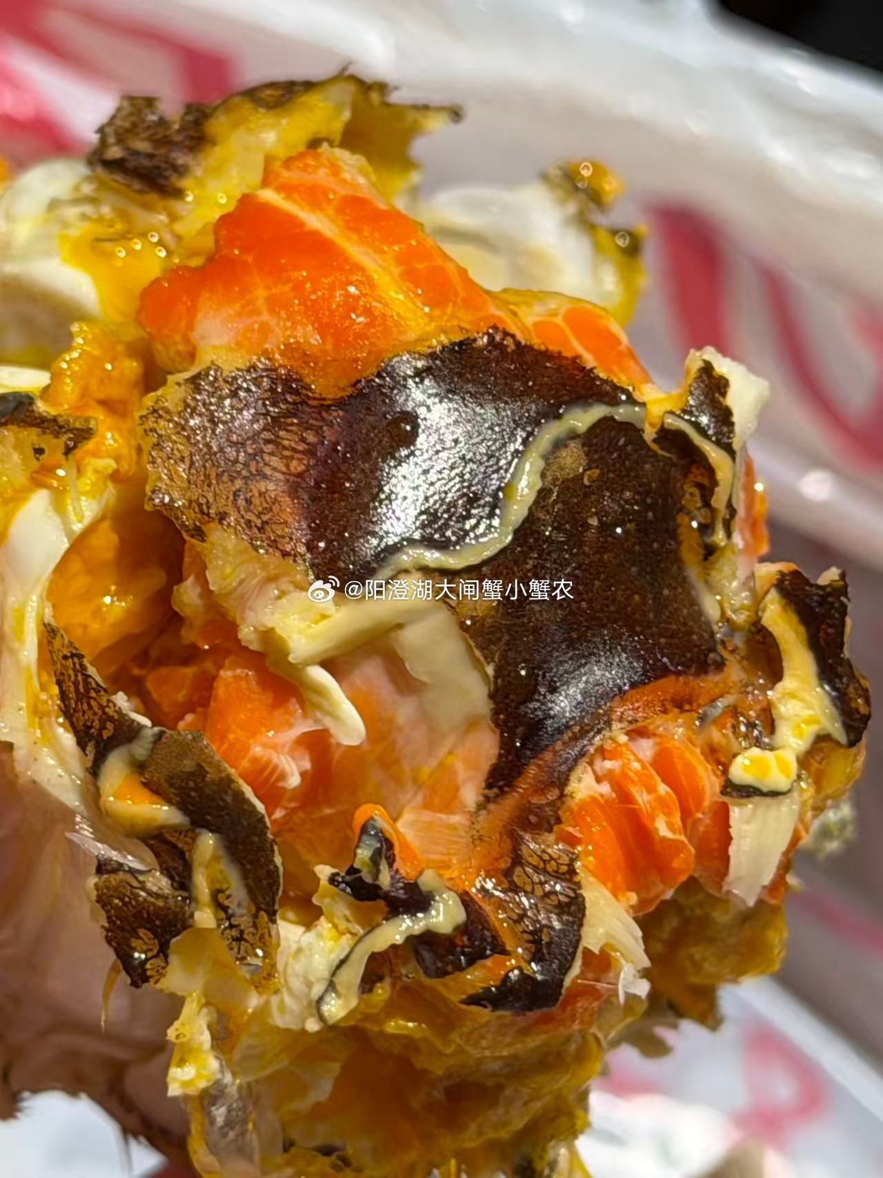 来自四川老蟹友的最新反馈，母蟹肥度绝了[偷笑]大闸蟹美食分享 ​​​