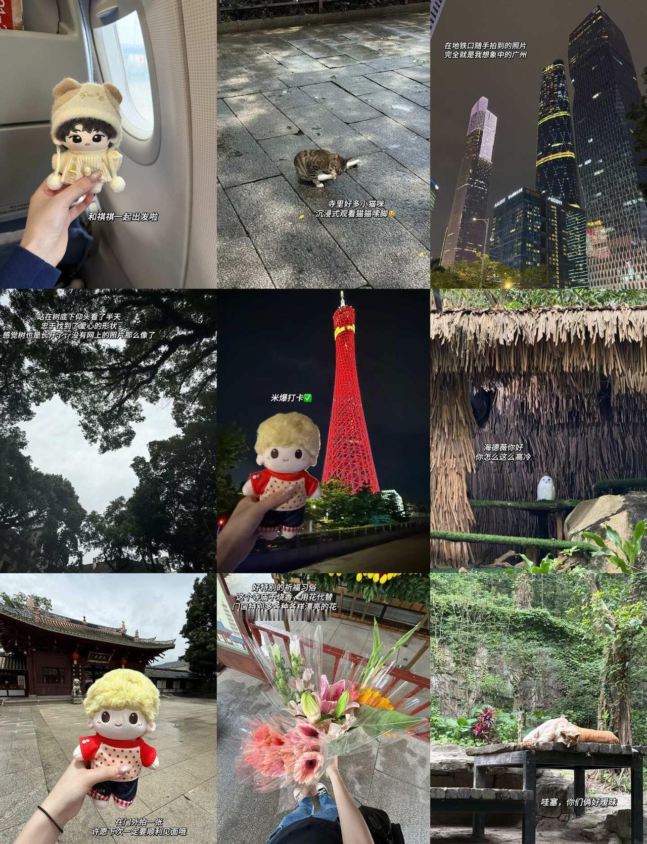 ✈️｜大米爆的五一广州行plog
五一假期 旅行 广州
🌟｜广州旅游真的相当火