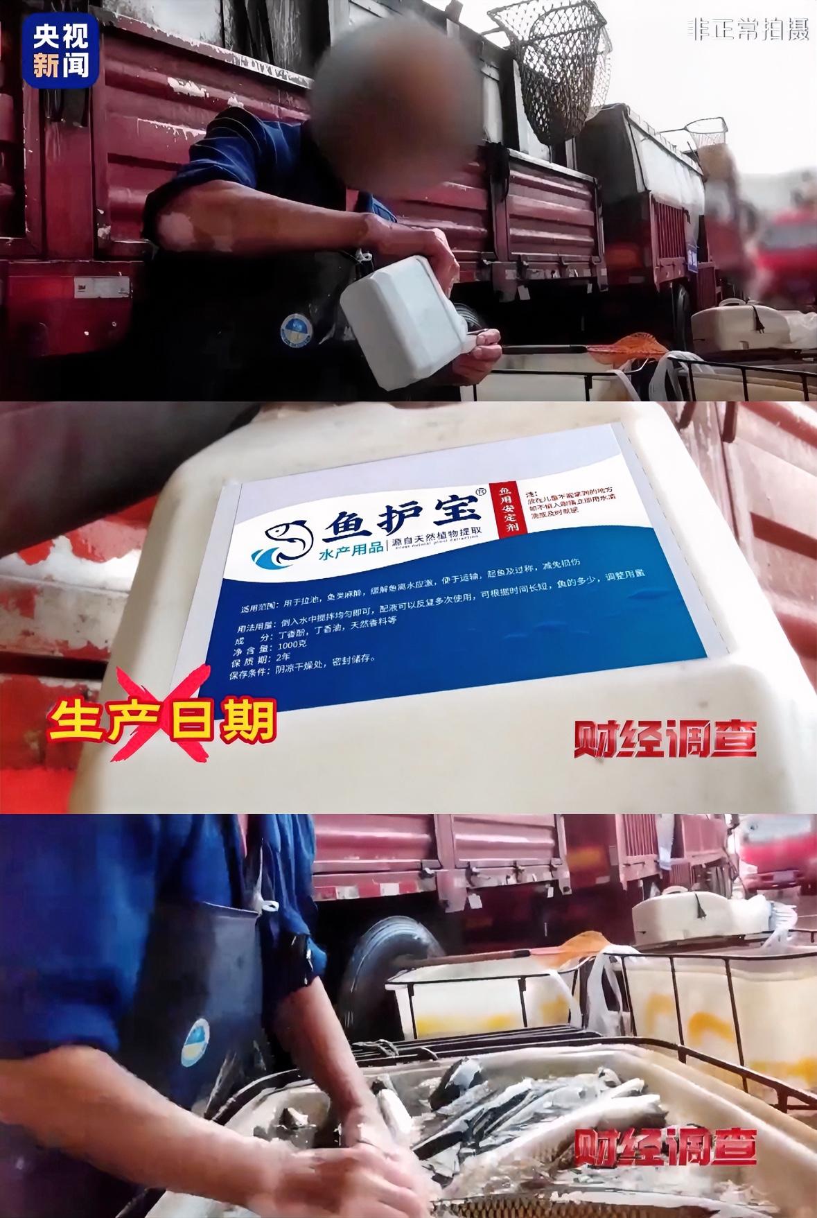 好家伙，你花高价买的活鱼可能是用了麻醉剂，活鱼麻醉被曝光流向餐桌。

听起来就很