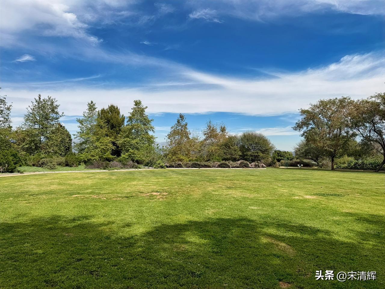 （1571）：这片芳草地，松鼠不时出没，妹妹一玩儿就是一个上午。和泥巴为友，和落