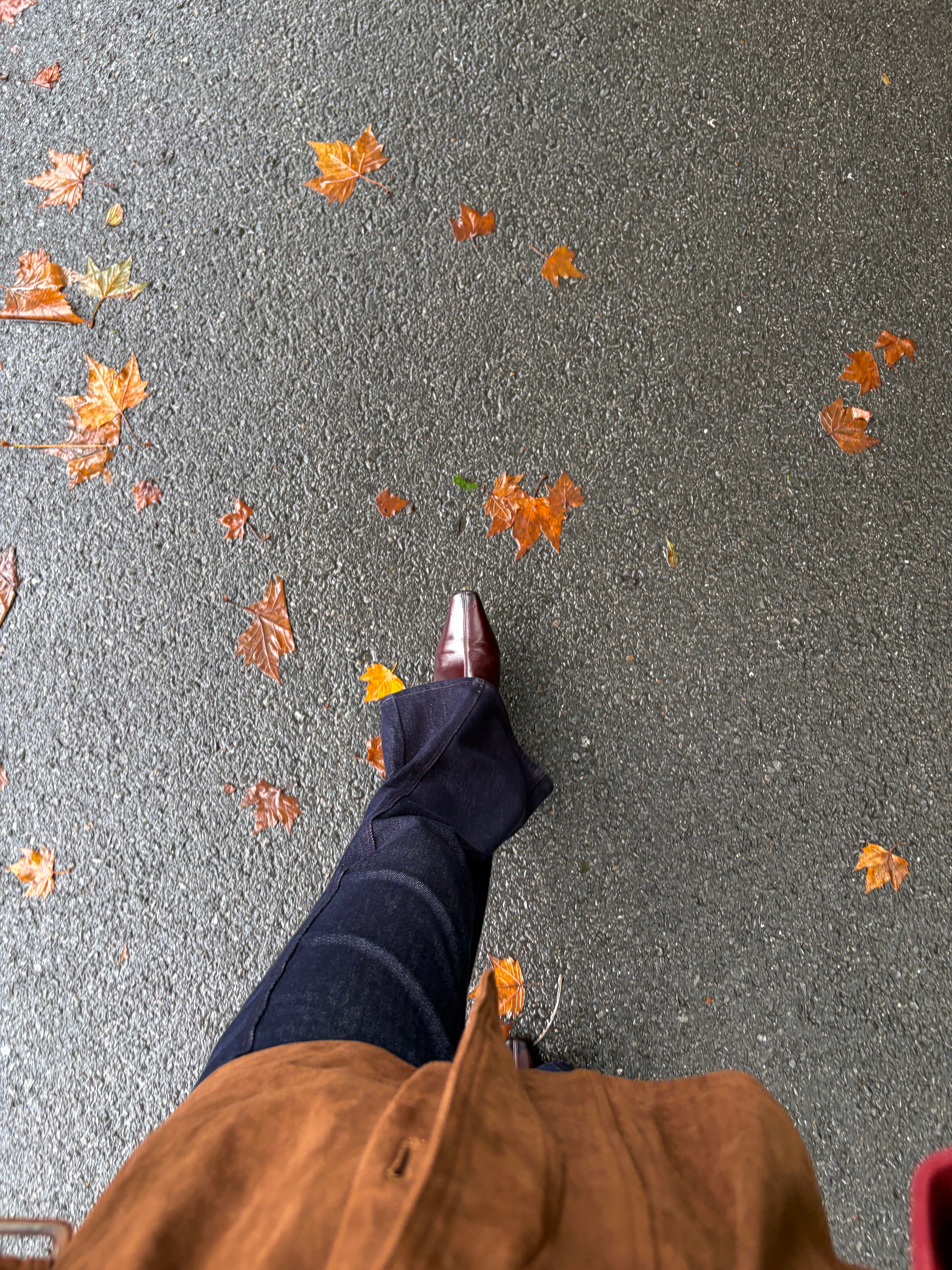 是雨天 也是秋天🍁今天穿什么 ​​​