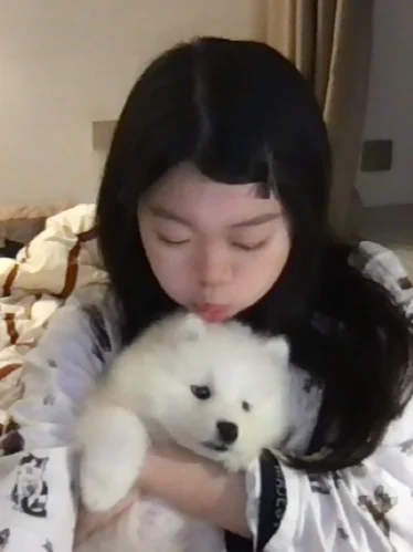 萨摩耶宝宝谁能不爱啊！！