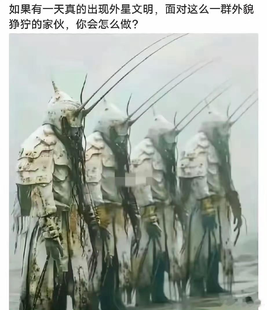 你会怎么做？ 
