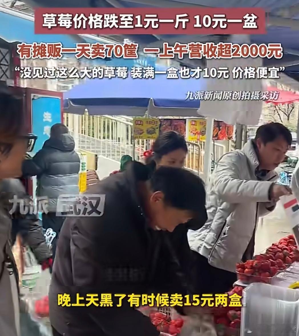 草莓价格跌至1元一斤不多说了晚上15两盒草莓我准备出门去抄底了