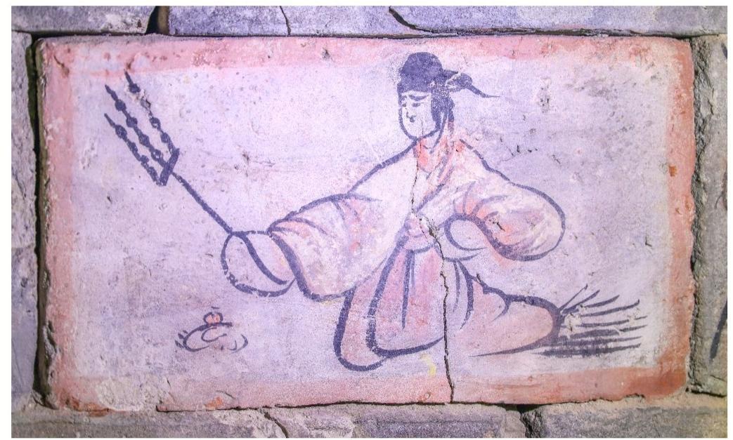 1962年，甘肃嘉峪关戈壁滩，一个农民在放羊休息时，随手将鞭子往地上一插，竟戳出