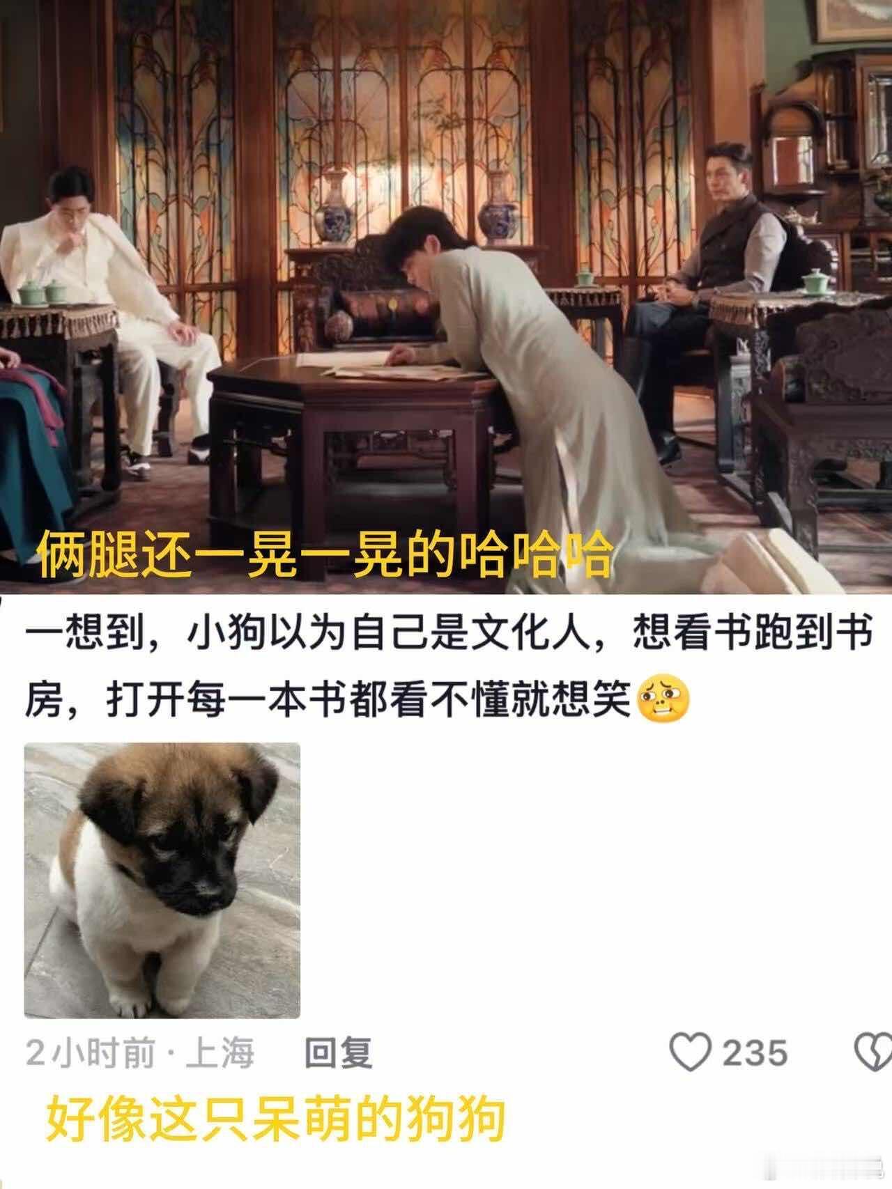 九门尹新月应该让吴老狗演 这脑洞开得绝了，吴老狗演尹新月，那种表面柔弱实则内心强