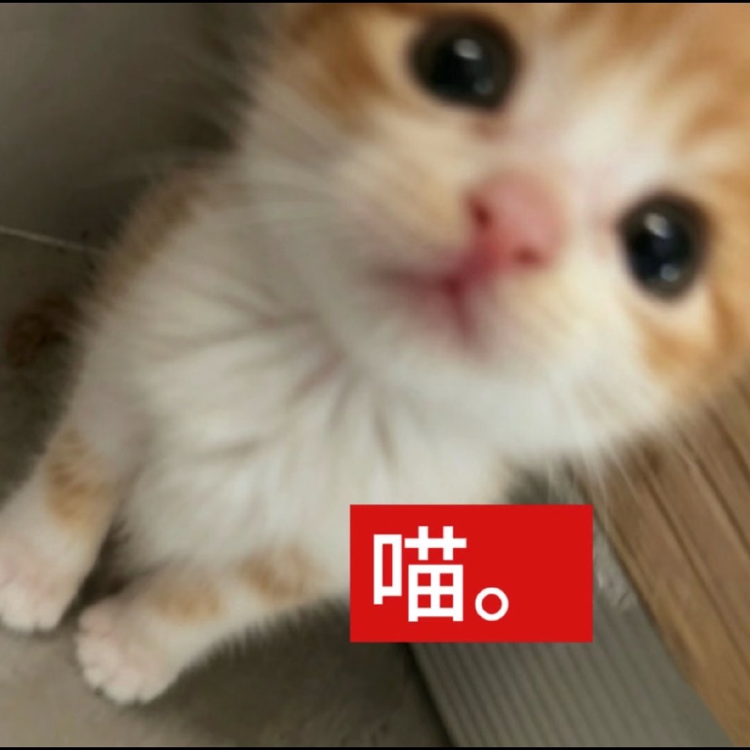 咳咳，接下来我简单喵两句 ​​​