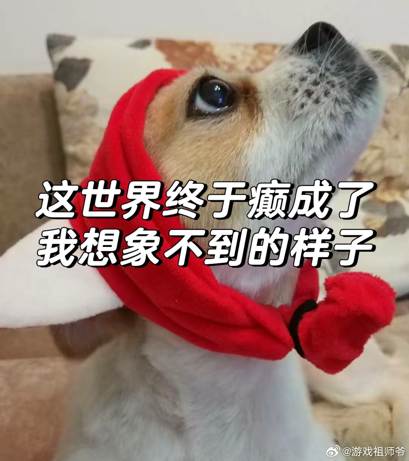 苏泊尔 擦边苏泊尔你真的让我大跌眼镜…点进去一看，店铺在卖货，主页在发擦边，场景