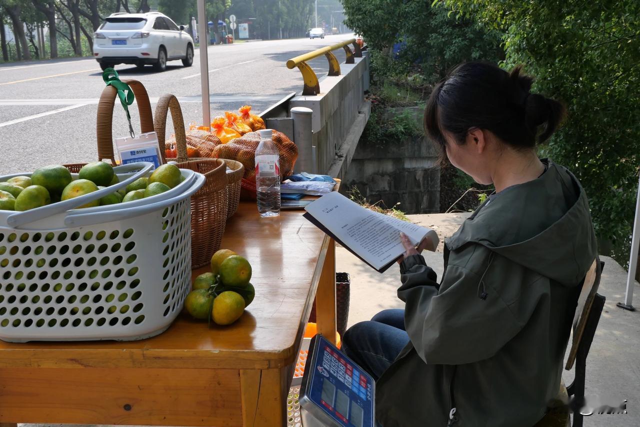 沿苏震桃公路向南，快到桃源镇的道路两旁，分布着许多桔园。正值深秋，桔子成熟，家家