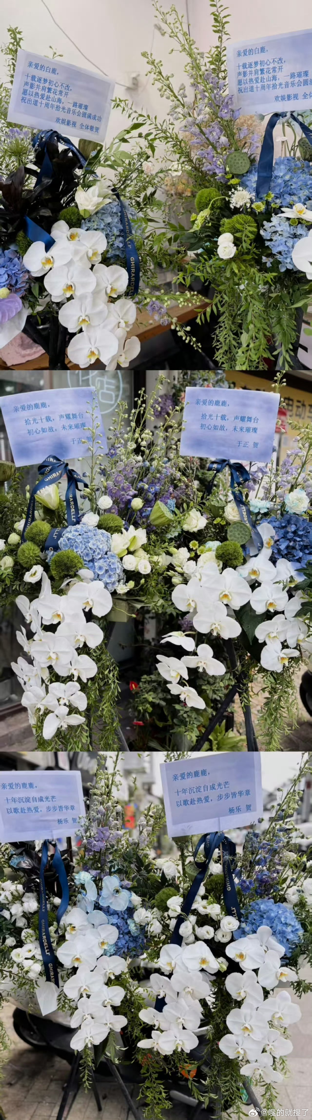 奔跑吧莫离于正孟子义给白鹿送花篮大家都好好啊，都来送花篮给白鹿庆祝演出顺利，期待