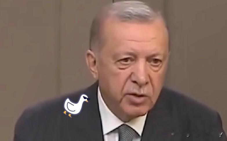 快讯！快讯！

就是刚刚土耳其宣布！

土耳其总统埃尔多安指责以色列单方面违反加