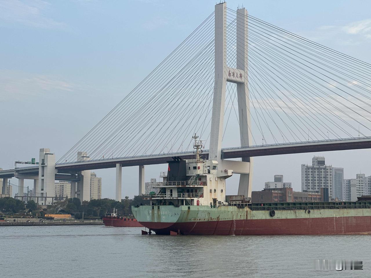 冬日生活打卡季