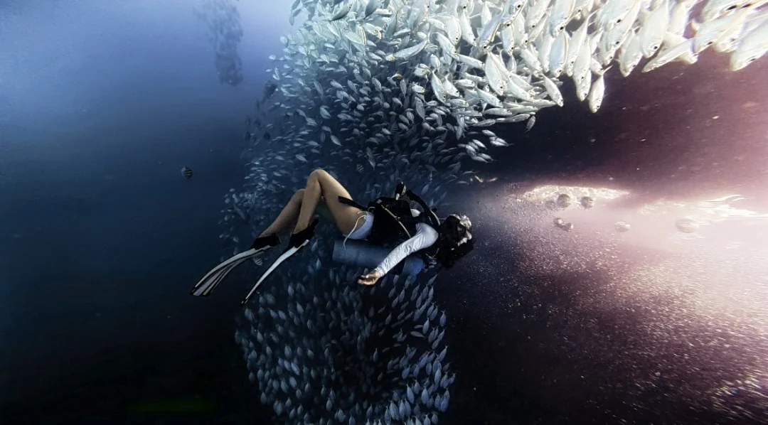 重新爱上潜水的第n天