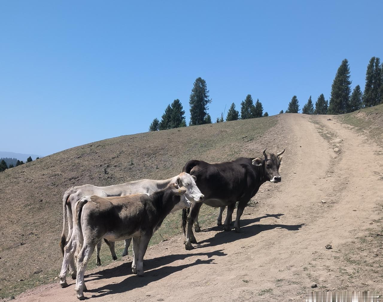 幽默孟子：时世纵横（143）
公孙丑：夫子，泽连斯基跑到库比扬斯克去劳军，还拍了