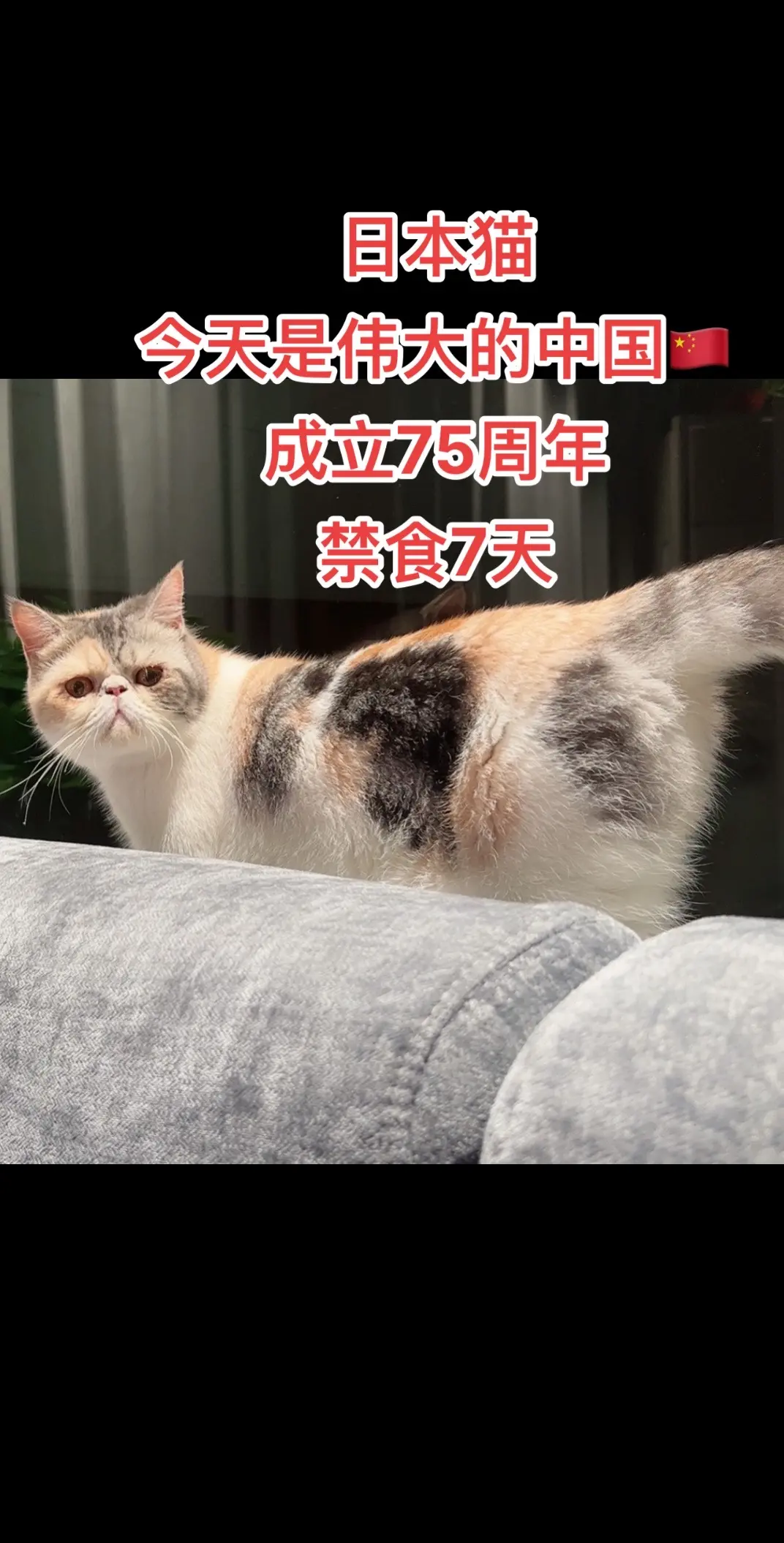 抗战第一线！！！