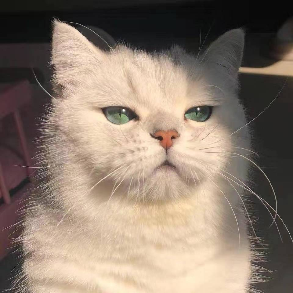 还在写，已经开始写最后一篇癸水的内容了。估计写完时间都挺晚的了，可能得到11点多