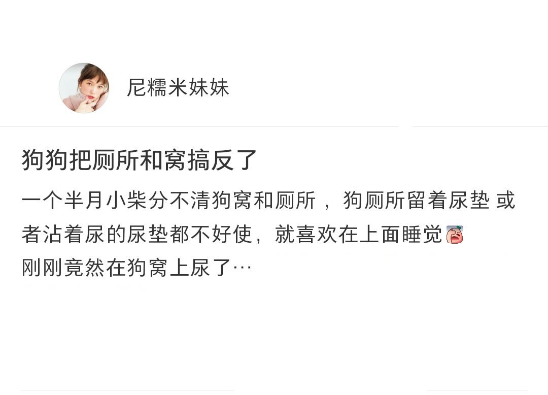 笨蛋小狗分不清厕所和狗窝也许是太小了没有安全感吧[收到] ​​​