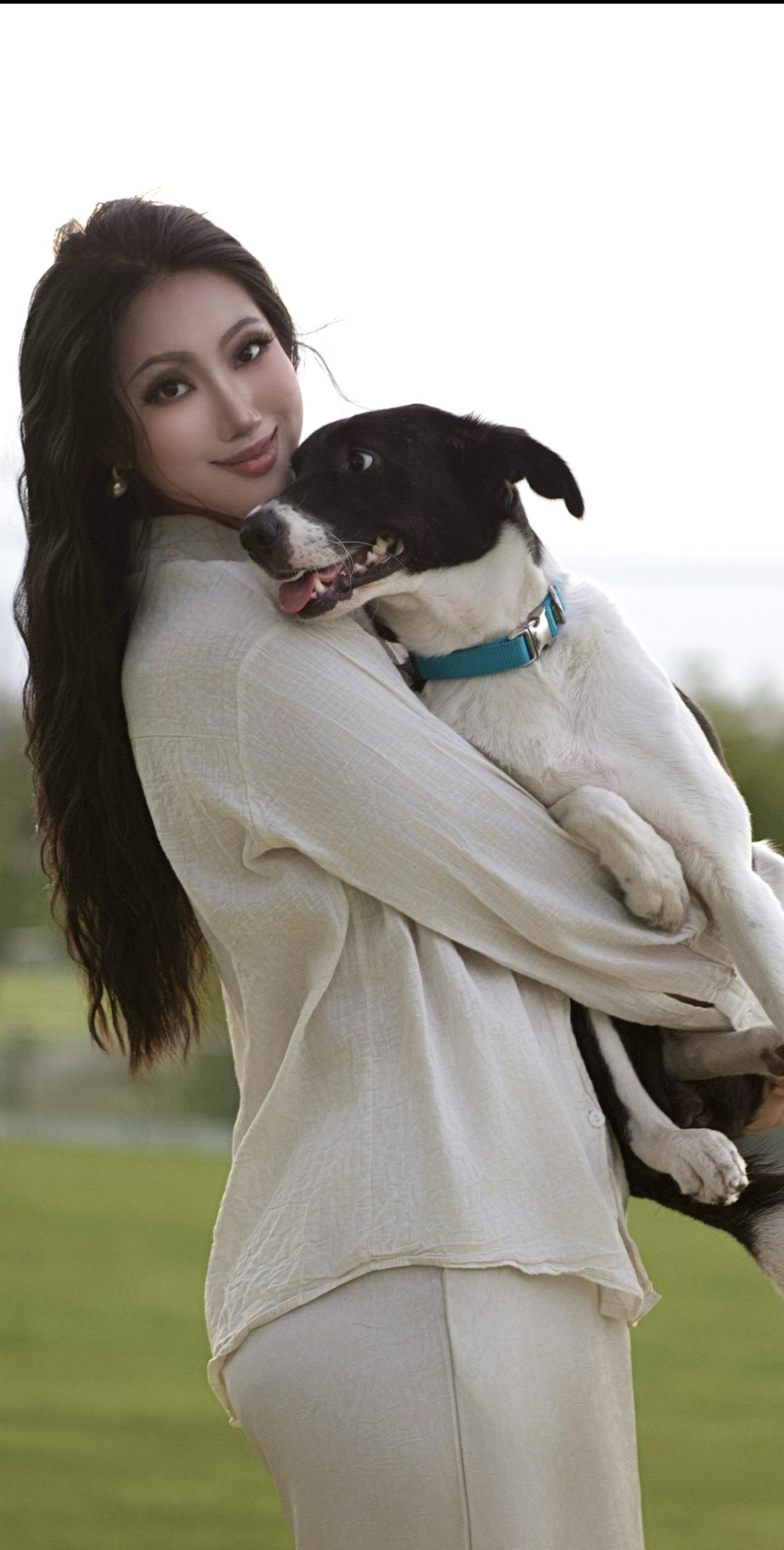 建议成立《反虐待动物保护法》