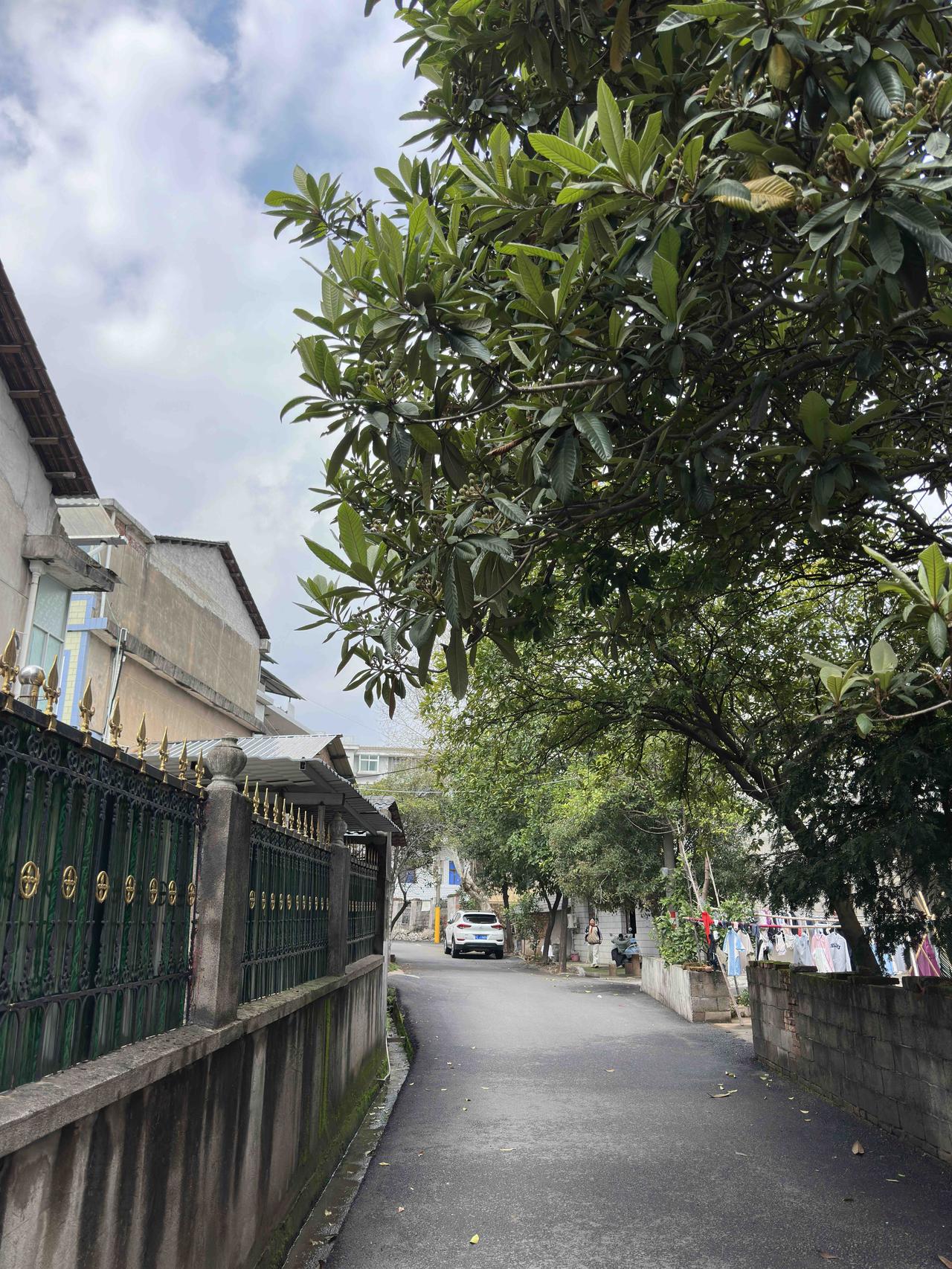 江南春天的雨，一下起来就没完没了。
这雨从上午开始下起，下午继续下雨，而且没有停