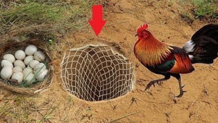 离奇失踪的儿子
妈妈单刀赴柬寻找

一个小伙子，被十六万卖去了柬埔寨！妈妈一个人