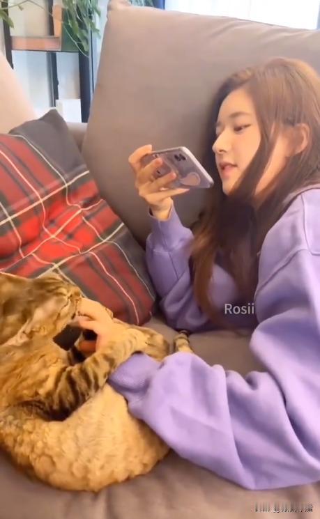 赵露思真的爱猫被咬都不收手