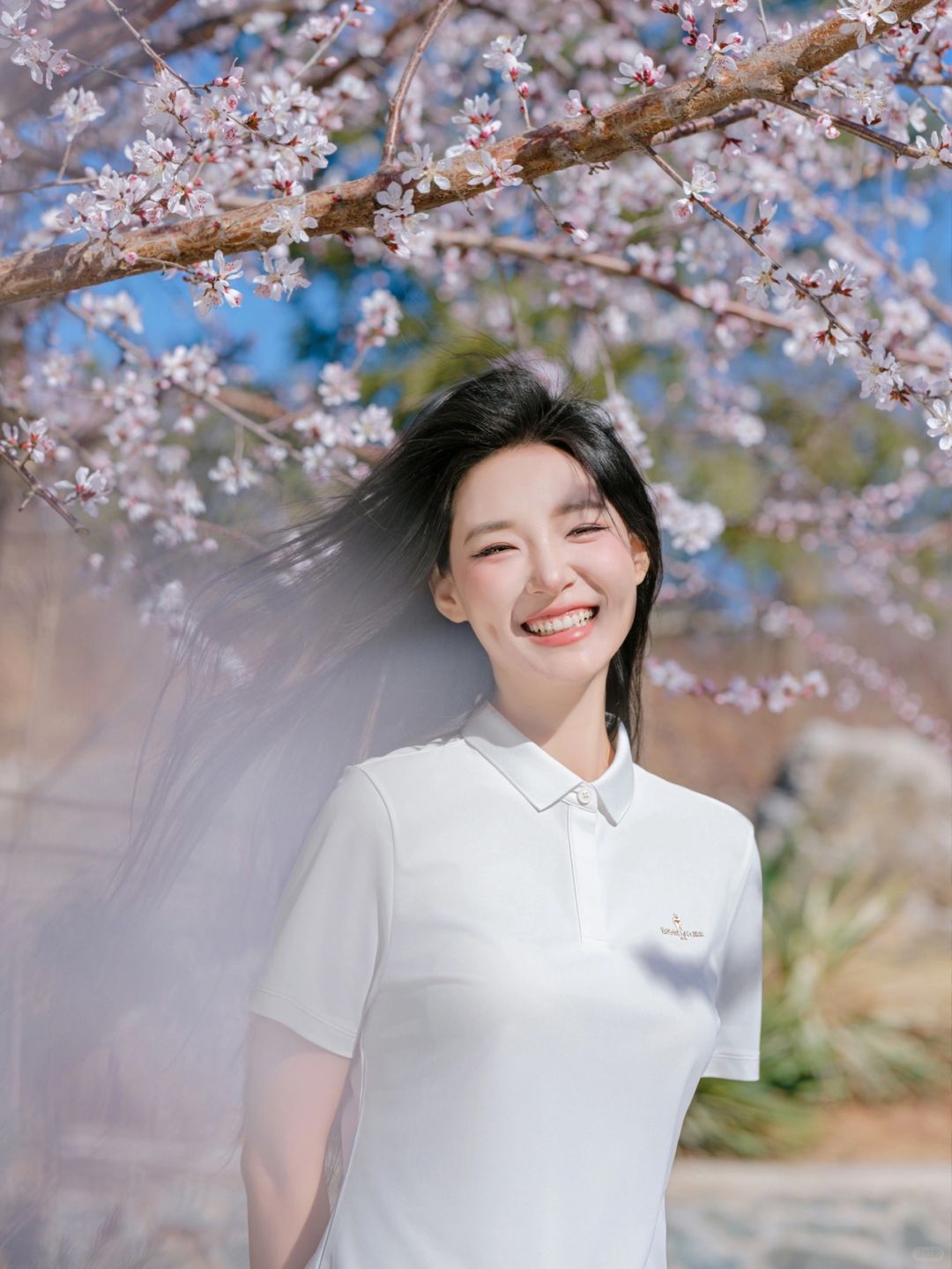 山桃花开🌸拍到了春天的生命力