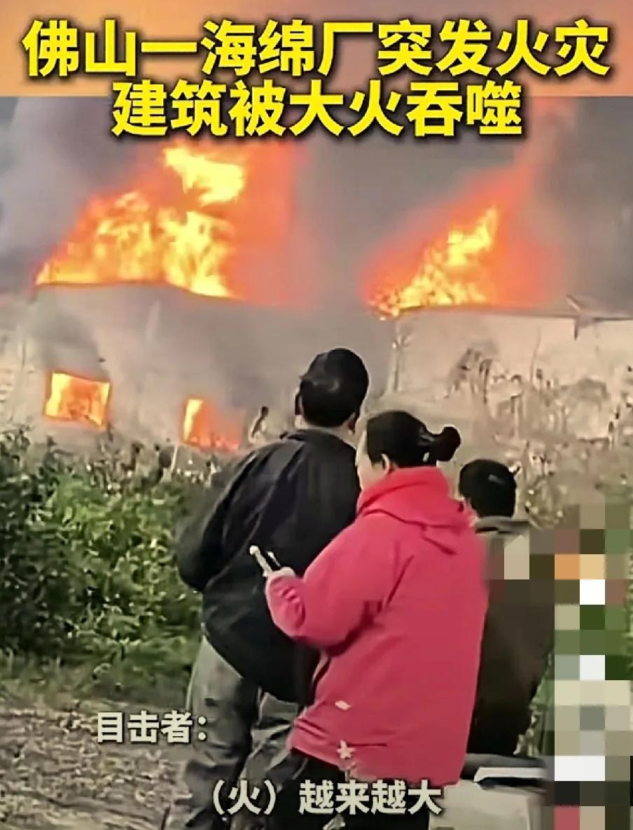 【佛山海绵厂火灾】火势凶猛，为何易燃物品成安全隐患？

12月16日下午，广东佛