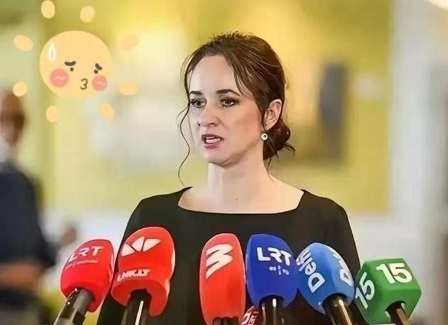 立陶宛那边，新总理因格丽达·西蒙尼特刚刚上任她就表示，要努力让对华关系恢复至大使