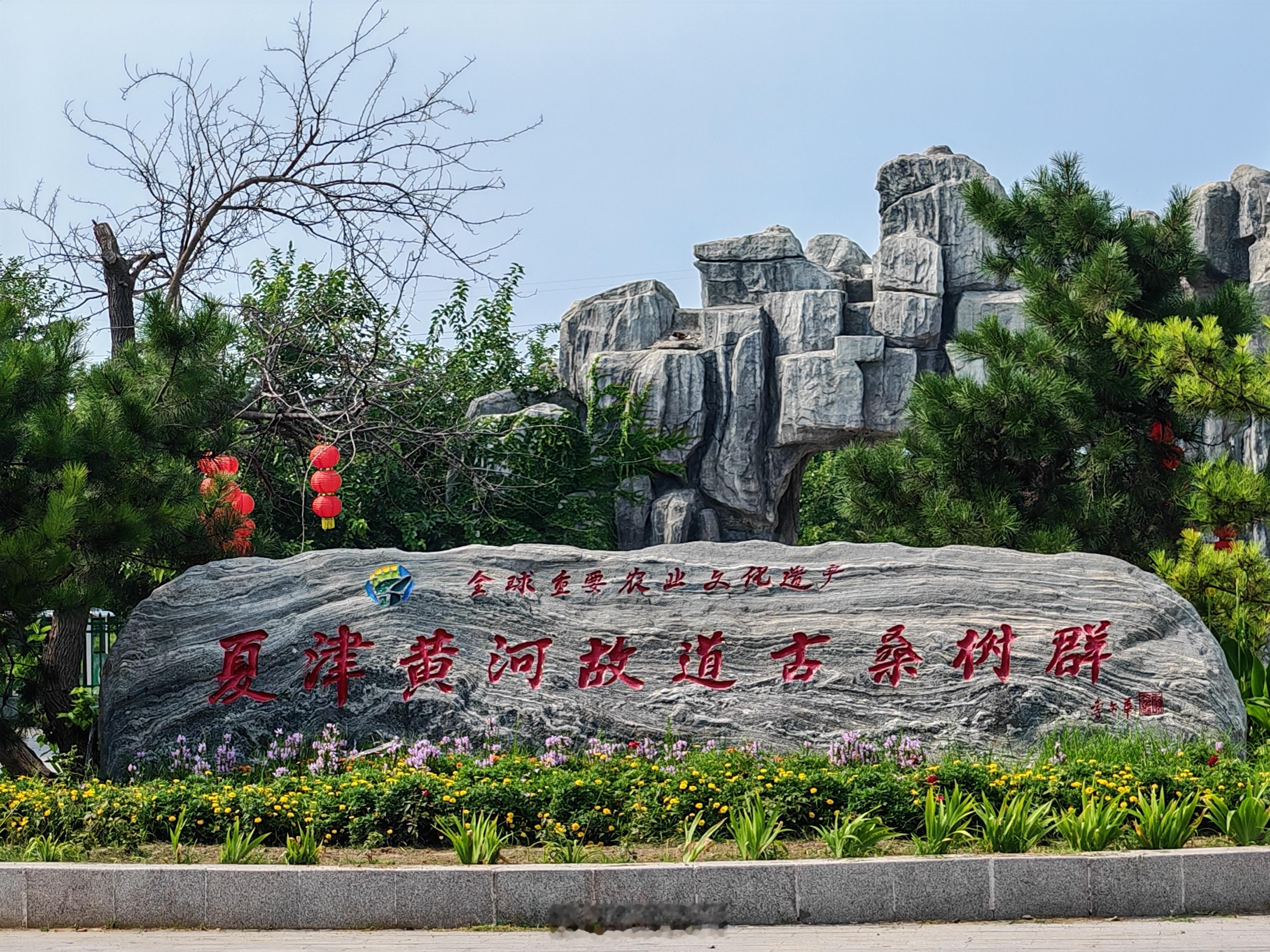 曲阜师范大学社会实践【寻迹百年桑林史，赋能乡村振兴路——深入夏津探寻黄河桑文化振