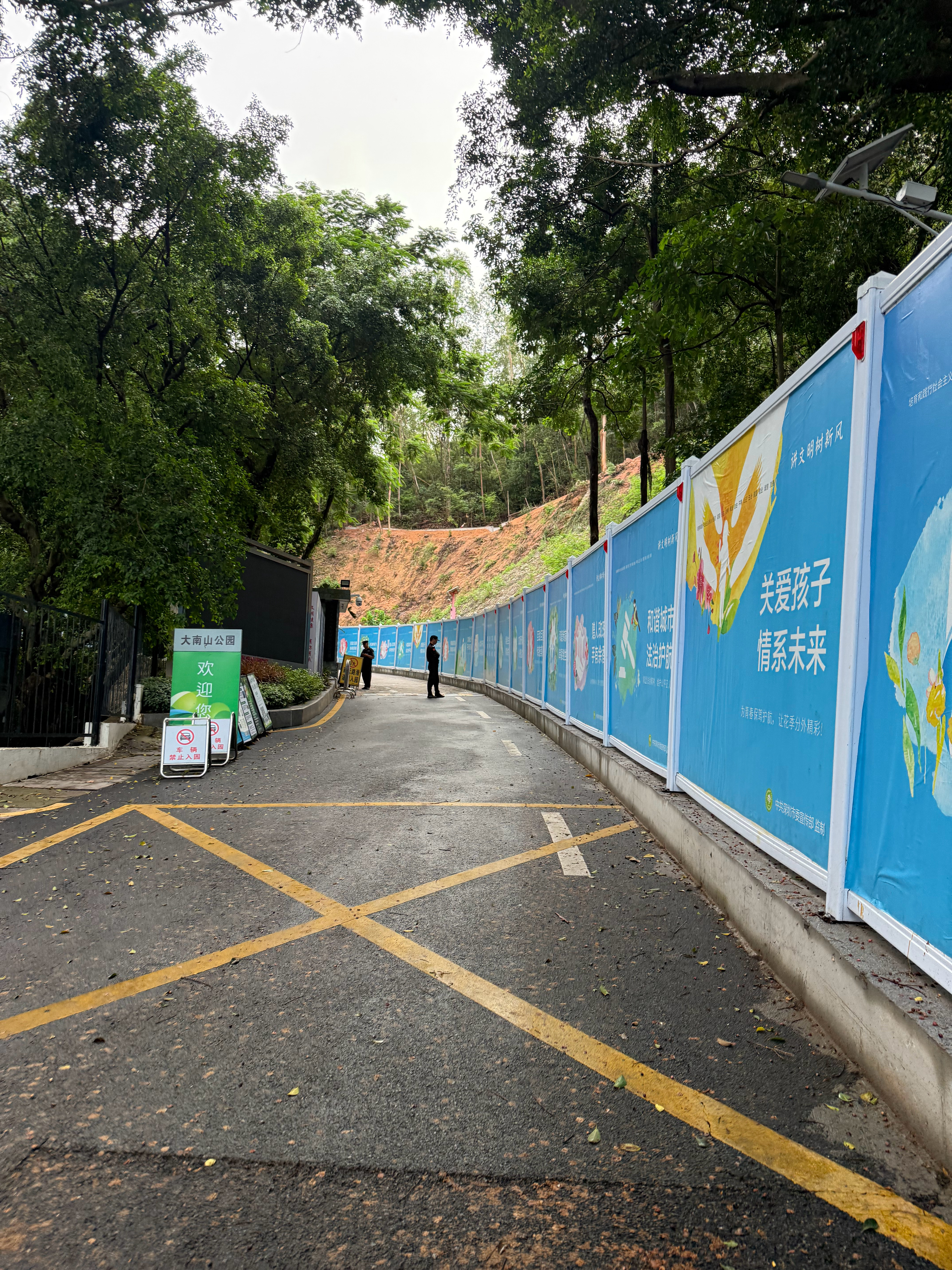 大雨刚停，上山给小猫母女送点吃的 