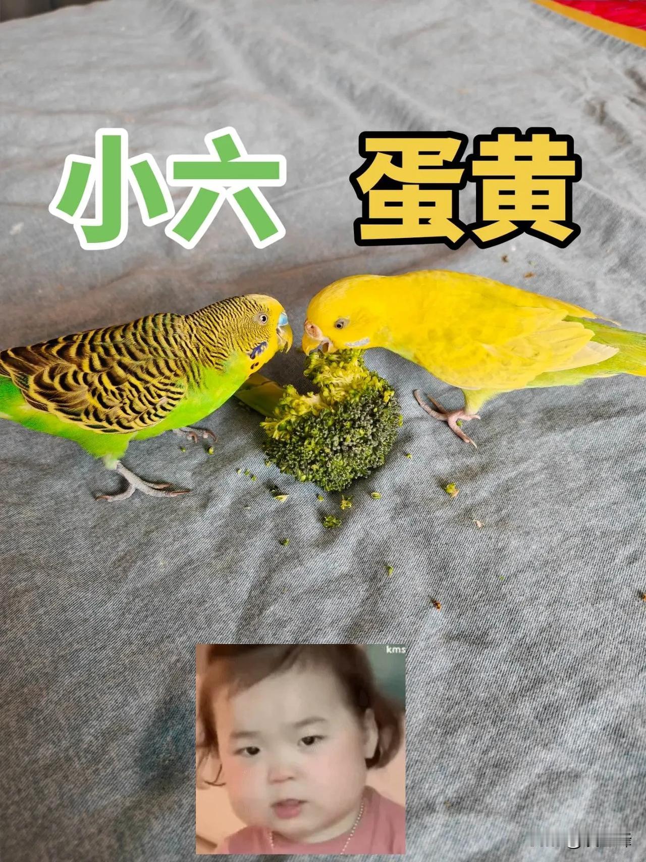 大家总说考上一本很不错，可也有人觉得一本学历如今没啥优势。一本院校以前代表实力强