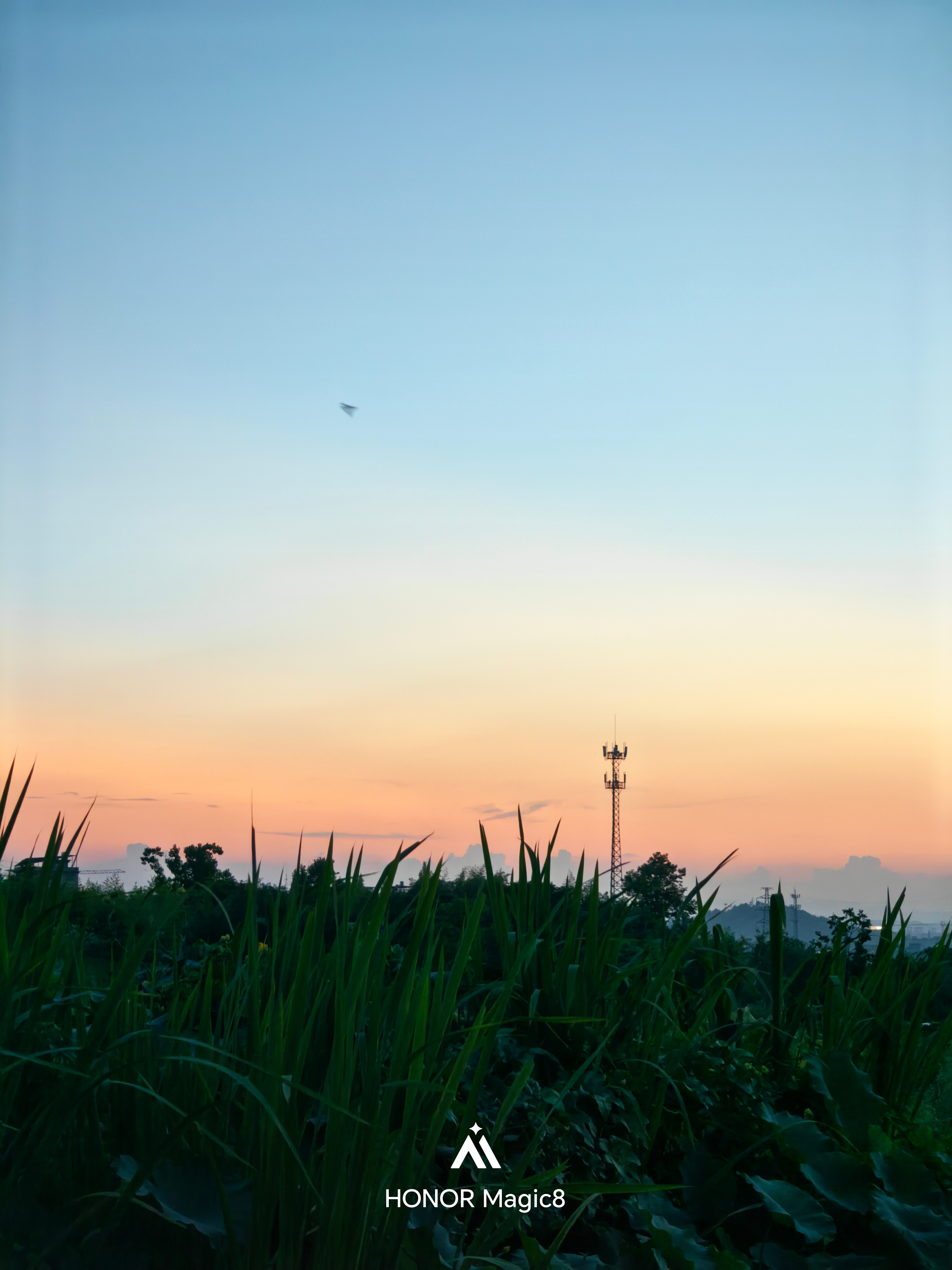 今天的夕阳也超美～ 