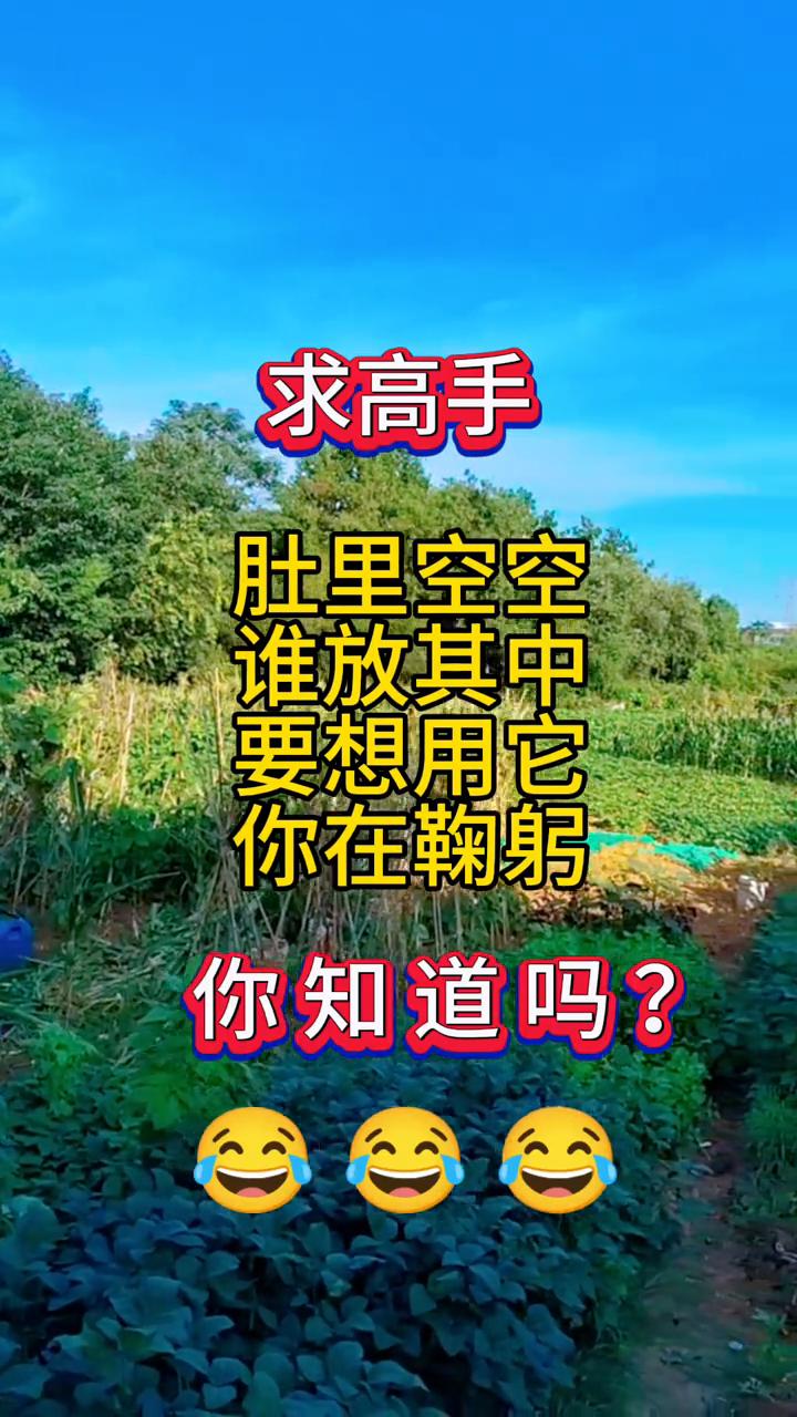 求高手肚里空空谁放其中。
要想用它，你在鞠躬。你知道吗？