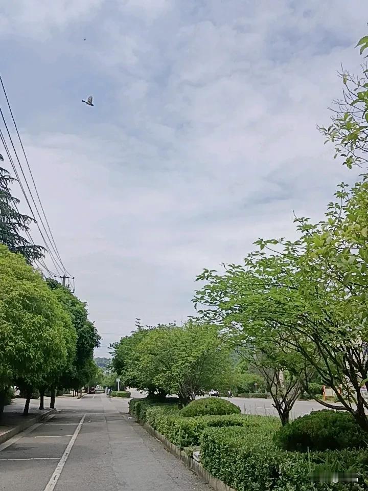记录我的2026