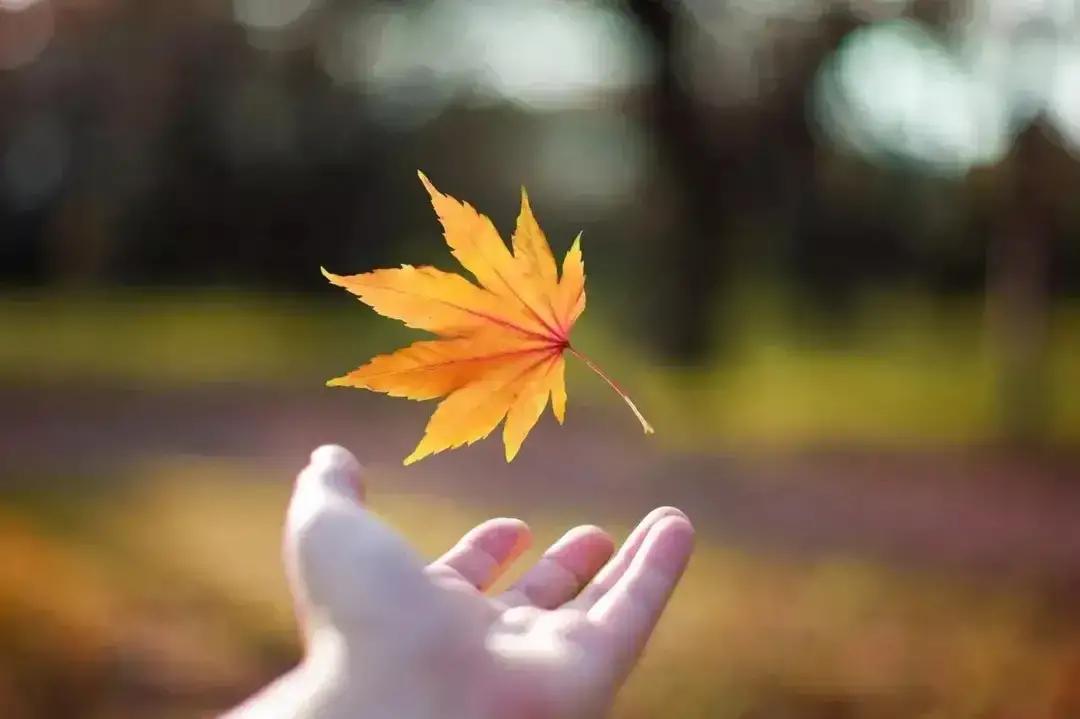 公交车上，一位中年女人领着一个高龄老人上了车。老人高个子，却很瘦，走路尚且稳当，