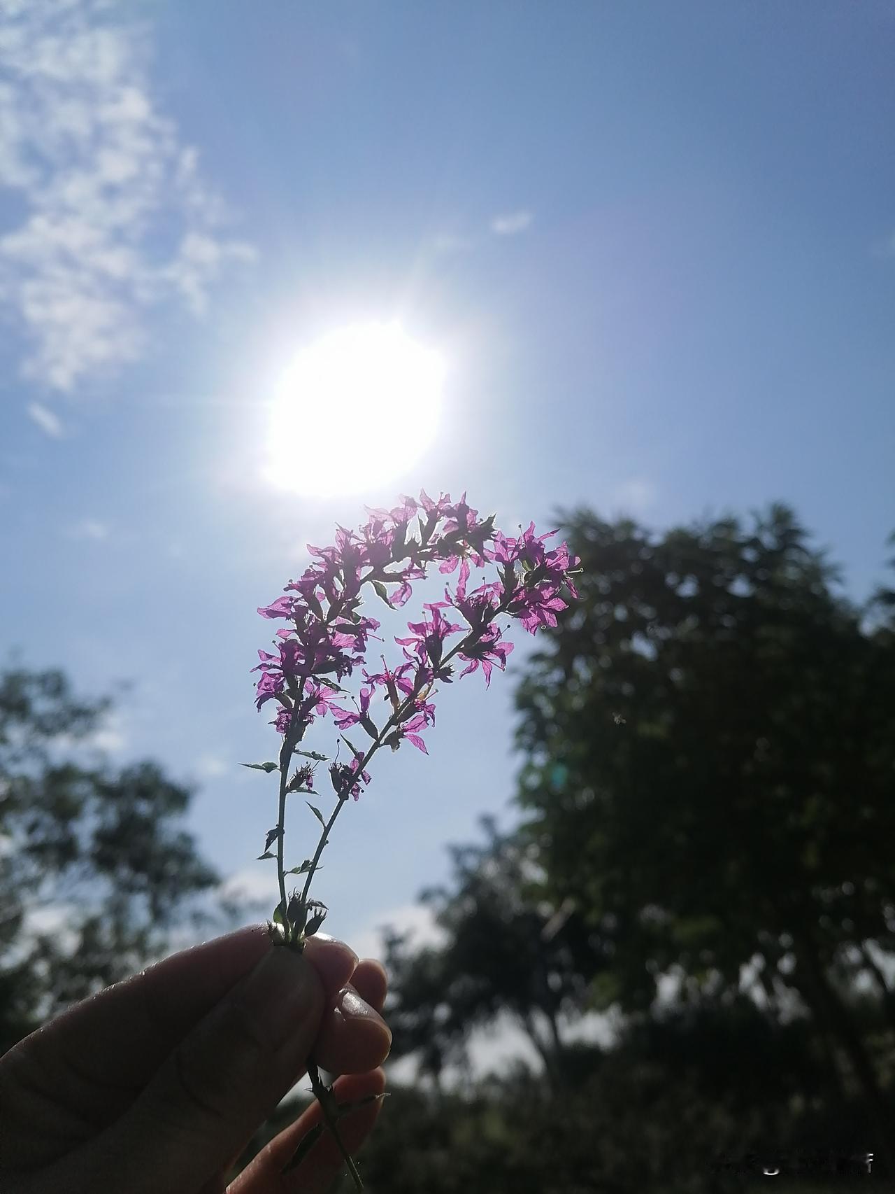 8.4北京，白天多云，中午至傍晚有雷阵雨，北转南风二三级，最高气温33℃；
夜间