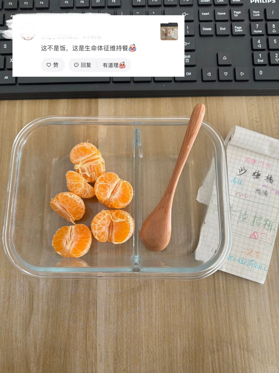 带饭445天，网友：这不是饭，是生命体征维持餐
